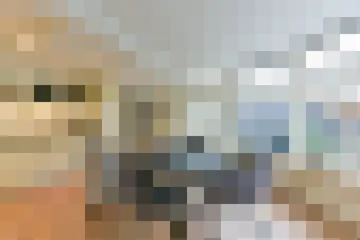 Vicarishove 41 Leusden thumbnail 14