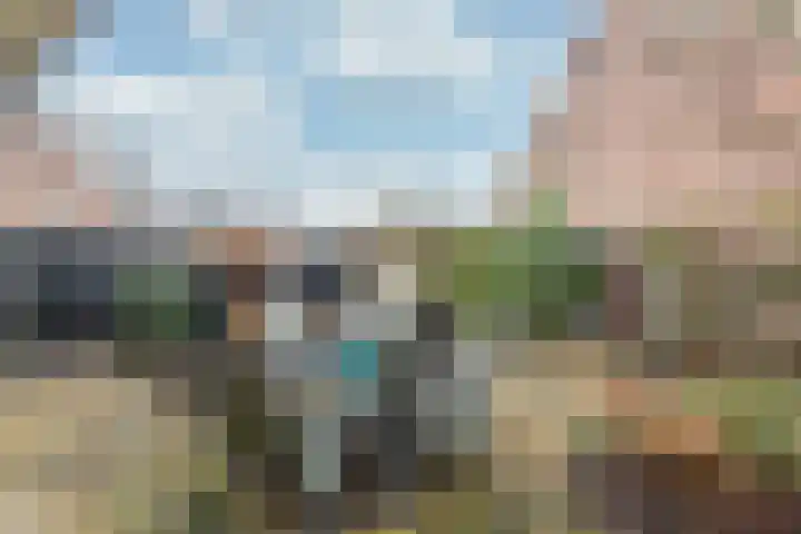 Vicarishove 41 Leusden thumbnail 16