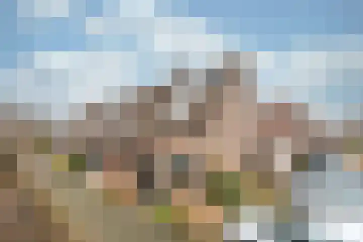 Vicarishove 41 Leusden thumbnail 37