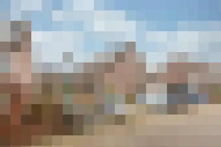Vicarishove 41 Leusden thumbnail 39