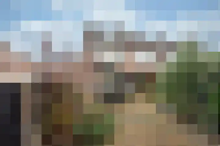 Vicarishove 41 Leusden thumbnail 4