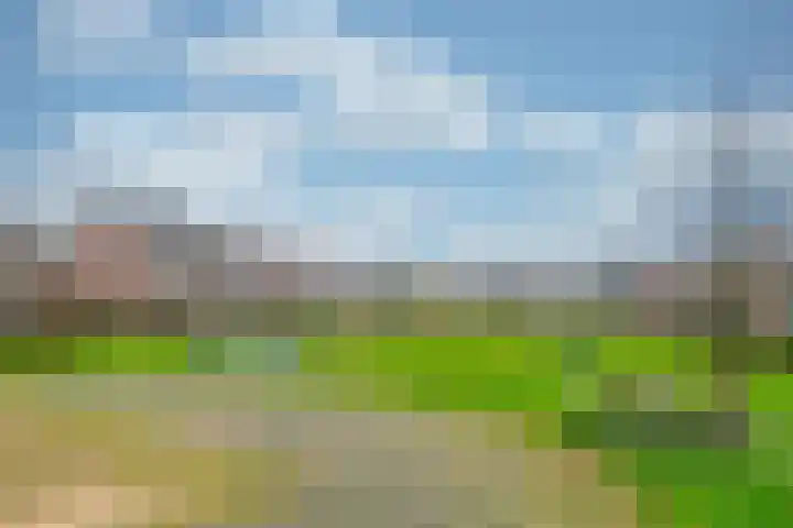 Vicarishove 41 Leusden thumbnail 40
