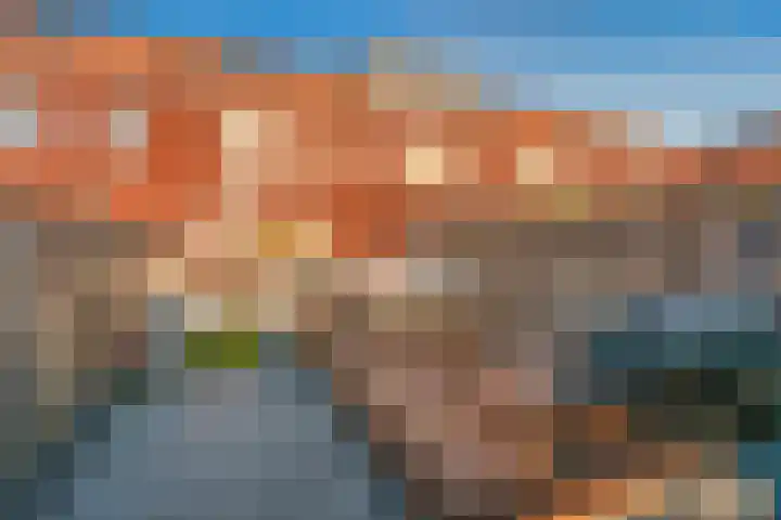 Vicarystraat 36 Culemborg thumbnail 31