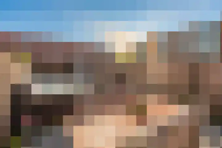 Vicarystraat 36 Culemborg thumbnail 6