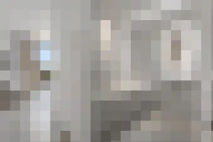 Victor Beermannhof 11 Lent thumbnail 21