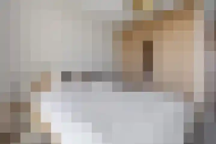 Victor Beermannhof 11 Lent thumbnail 24