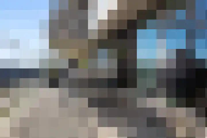 Victor Beermannhof 11 Lent thumbnail 26