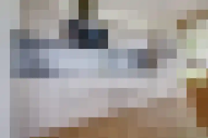 Victor Beermannhof 48 Lent thumbnail 22