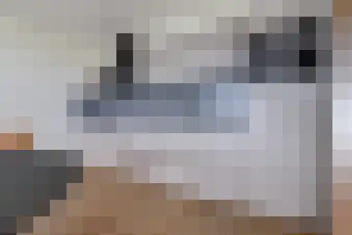 Victor Beermannhof 48 Lent thumbnail 23