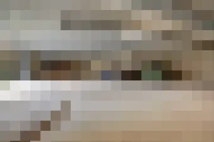 Victor Beermannhof 48 Lent thumbnail 35