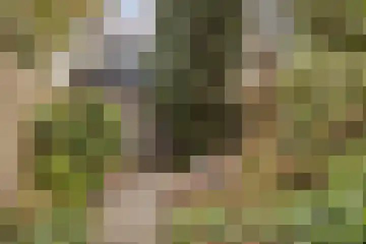 Victorstaete 14 Obdam thumbnail 13