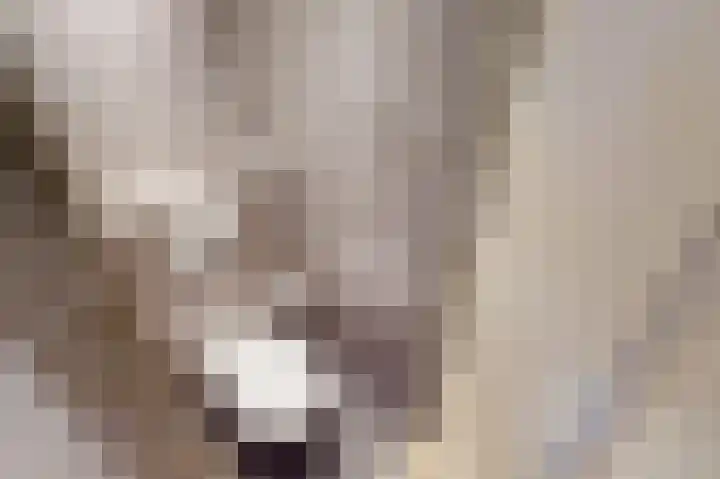 Victorstaete 14 Obdam thumbnail 16