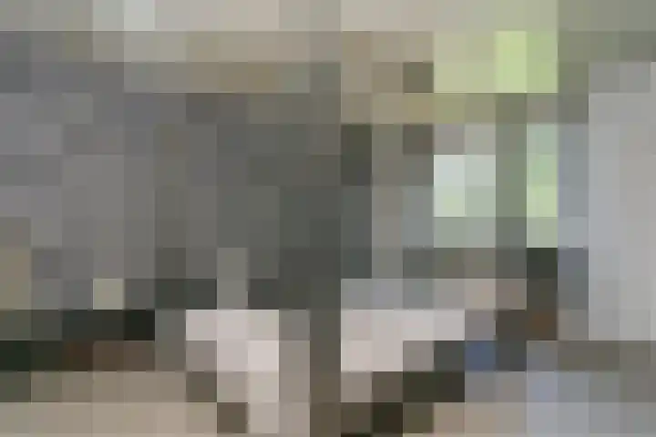 Victorstaete 14 Obdam thumbnail 17