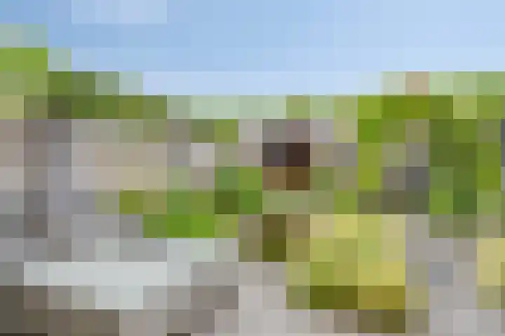Vicusstraat 5 Tiel thumbnail 28