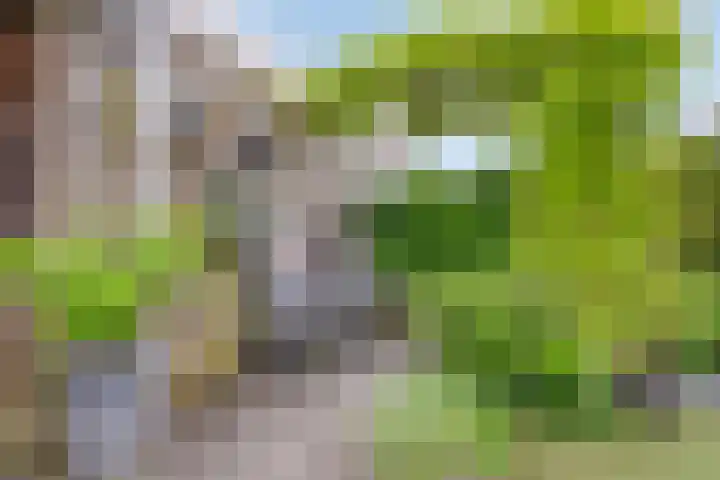 Vicusstraat 5 Tiel thumbnail 31