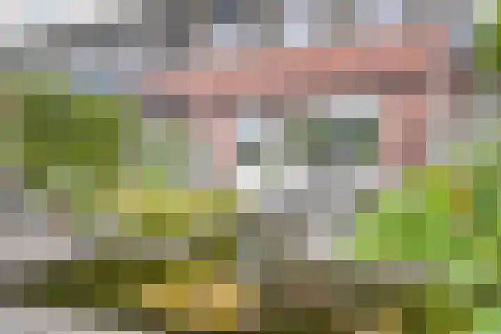 Vicusstraat 5 Tiel thumbnail 33