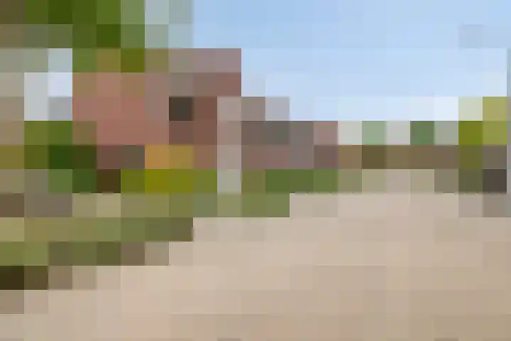 Vicusstraat 5 Tiel thumbnail 4