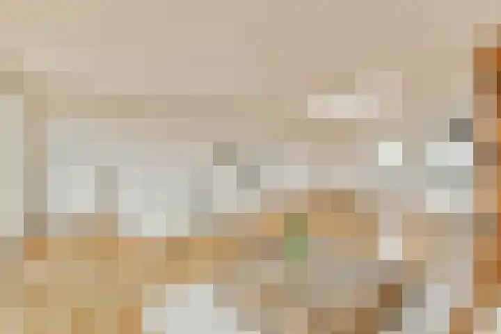 Team foto van Vida makelaars og - Wonen is leven!