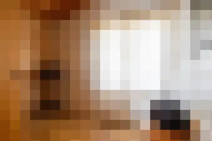Vier Heultjes 103 Sprang-Capelle thumbnail 18