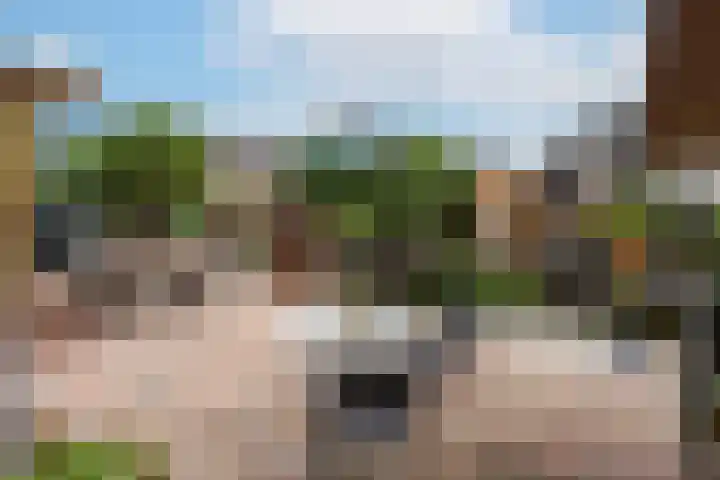 Vier Heultjes 103 Sprang-Capelle thumbnail 4