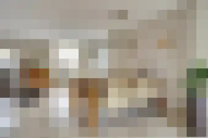 Vier Heultjes 31 Sprang-Capelle thumbnail 10