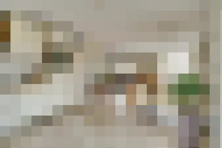 Vier Heultjes 31 Sprang-Capelle thumbnail 12