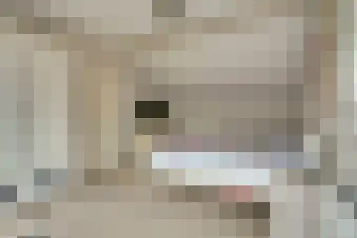 Vier Heultjes 31 Sprang-Capelle thumbnail 20