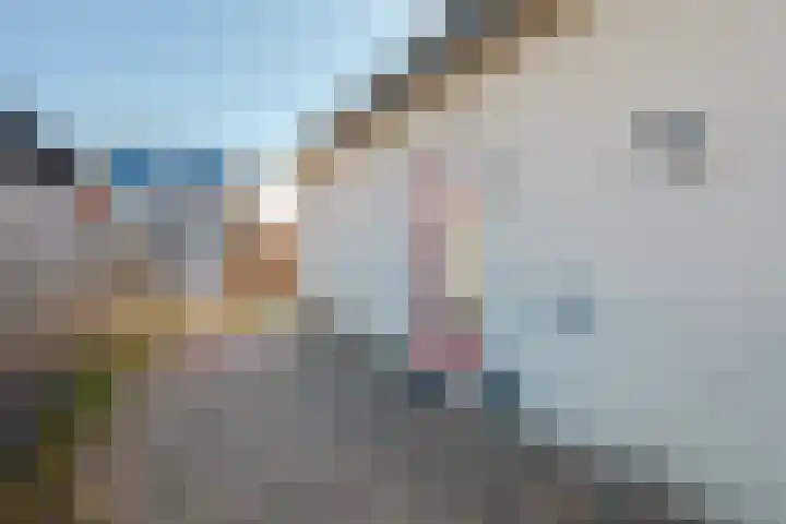 Vier Heultjes 31 Sprang-Capelle thumbnail 31