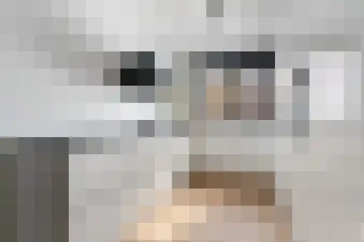 Vieracker 39 B Malden thumbnail 11