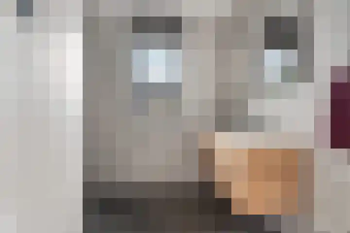 Vieracker 39 B Malden thumbnail 27