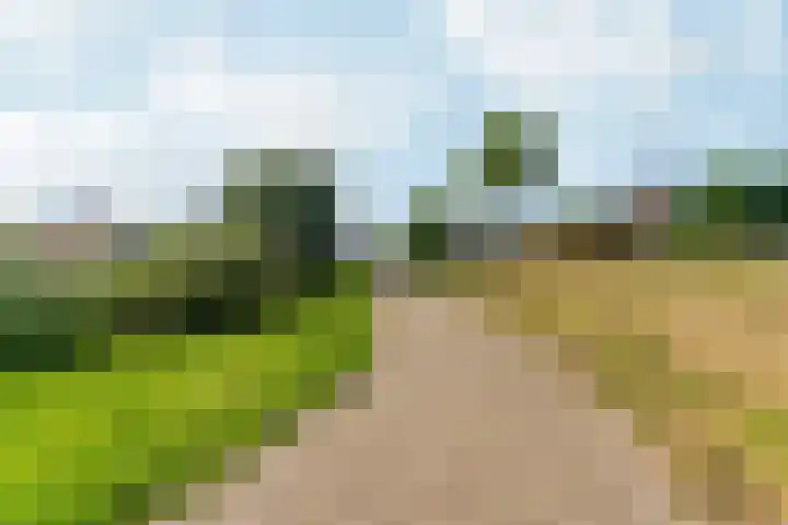 Vieracker 39 B Malden thumbnail 47