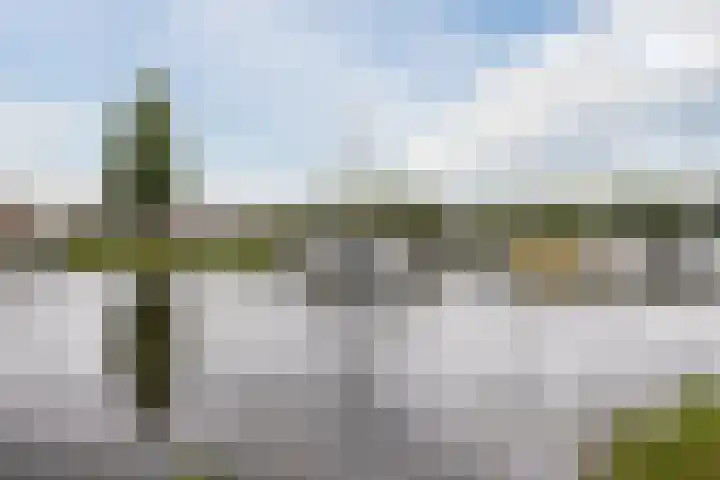 Vierasser 100 Hellevoetsluis thumbnail 35