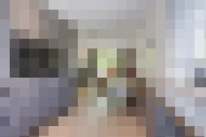Vierasser 100 Hellevoetsluis thumbnail 8