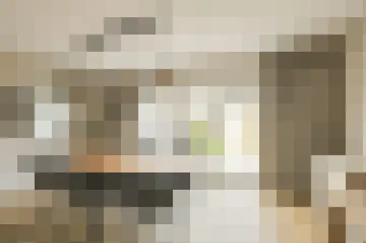 Vierbunder 6 Breda thumbnail 10