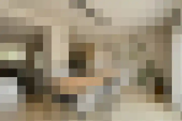 Vierbunder 6 Breda thumbnail 11