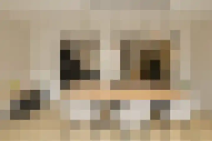 Vierbunder 6 Breda thumbnail 12