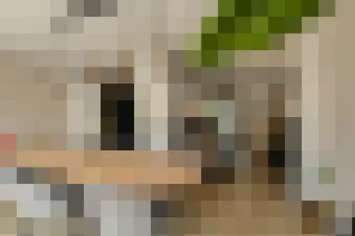 Vierbunder 6 Breda thumbnail 14