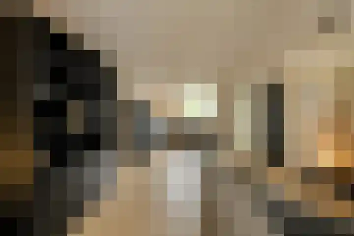 Vierbunder 6 Breda thumbnail 15