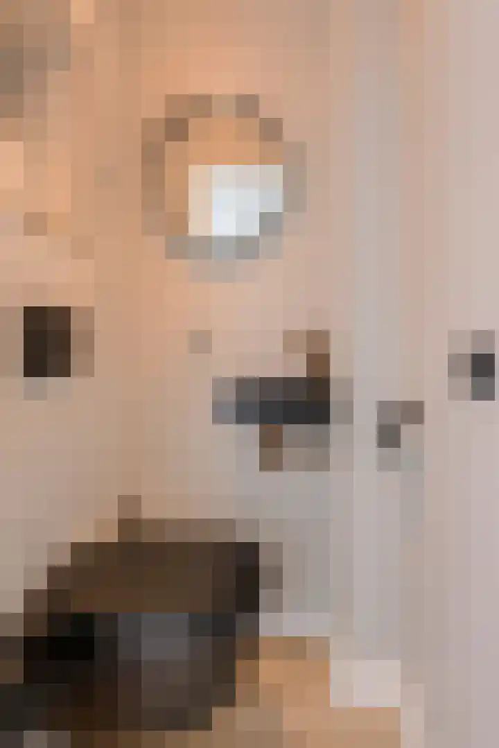 Vierbunder 6 Breda thumbnail 23