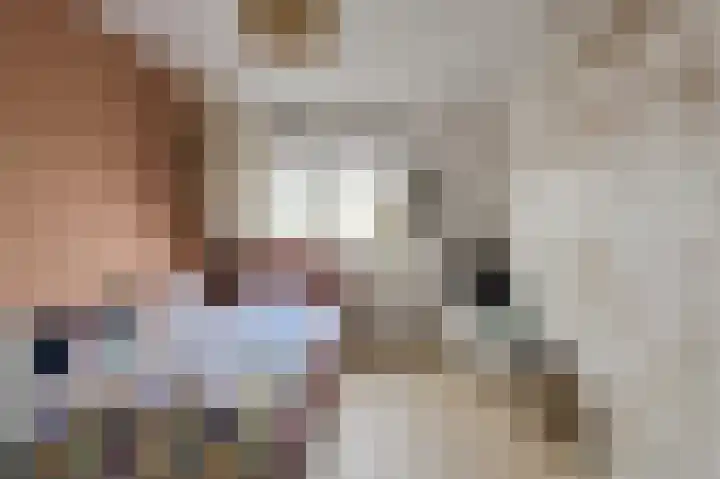 Vierbunder 6 Breda thumbnail 26