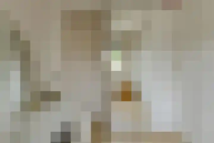 Vierbunder 6 Breda thumbnail 32