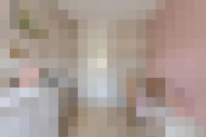 Vierbunder 6 Breda thumbnail 34