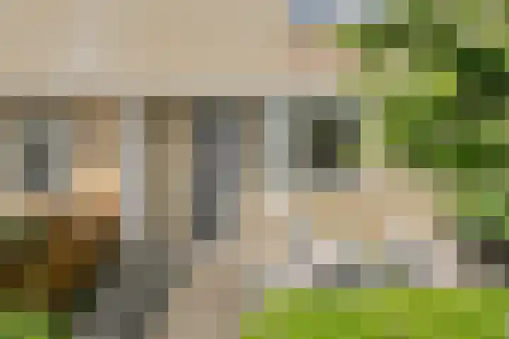 Vierbunder 6 Breda thumbnail 4