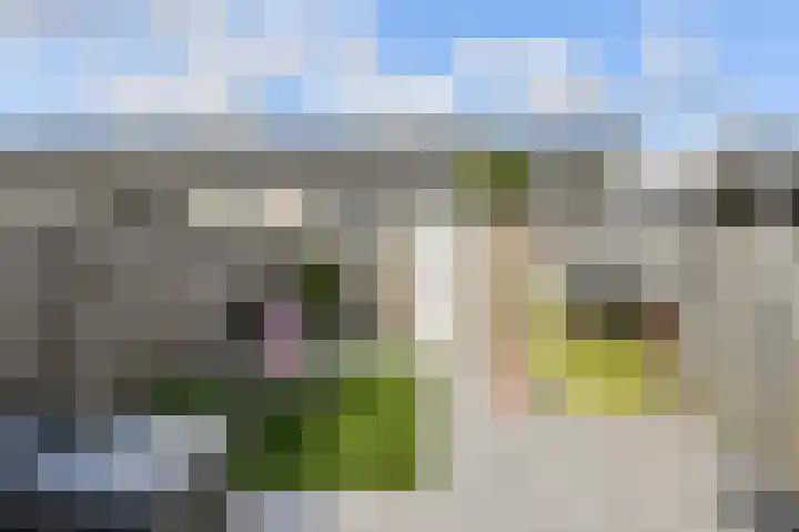 Vierbunder 6 Breda thumbnail 41