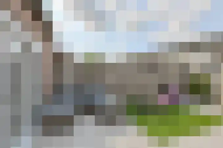 Vierbunder 6 Breda thumbnail 42