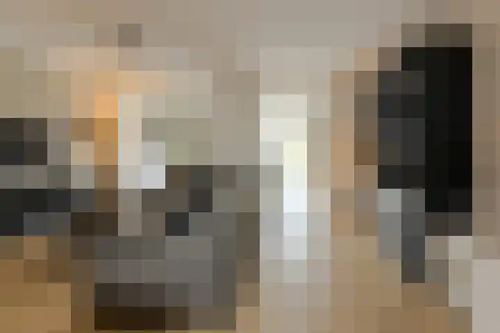 Vierbunder 6 Breda thumbnail 5