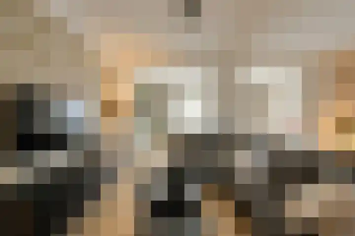 Vierbunder 6 Breda thumbnail 6