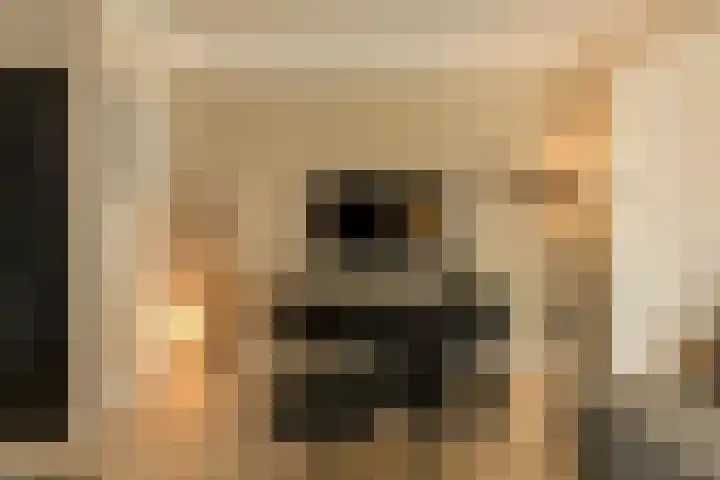 Vierbunder 6 Breda thumbnail 7