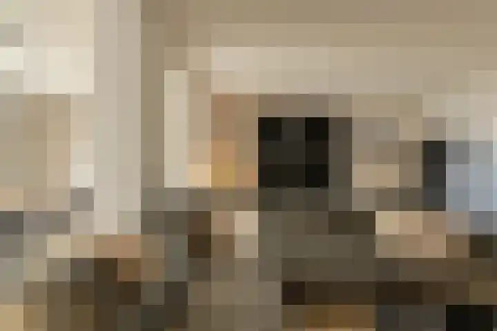 Vierbunder 6 Breda thumbnail 8