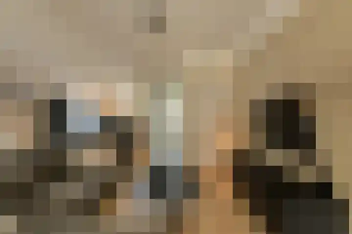 Vierbunder 6 Breda thumbnail 9